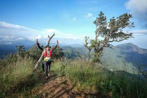 BIB: 
                            <button type="button" onclick="openModal(22374063)" class="btn btn-primary btn-sm float-right btn-popup" data-toggle="modal" data-target=".modal-high-quality">
                        <i class="fas fa-shopping-cart"></i> Add to Cart
                    </button>
                                            <button type="button" onclick="isThisMe(22374063, true)" class="btn btn-success btn-sm float-right btn-popup btn-isme hidden" data-toggle="tooltip" data-placement="bottom" title="นี่คือรูปของคุณใช่ไหม คลิกที่นี่เพื่อเอาเข้าอัลบั้ม">
                        <i class="fas fa-plus"></i> Add to album
                    </button>
                    <button type="button" onclick="isThisMe(22374063, false)" class="btn btn-warning btn-sm float-right btn-popup btn-isnotme hidden">
                        <i class="fas fa-ban"></i> Remove from album
                    </button>